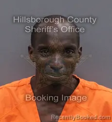 Mugshot of STARLING EWIN STANLEY booked in Hillsborough County, Florida on June 9, 2026