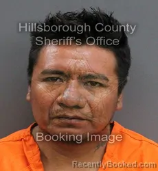 Mugshot of JOEL MEZA GONZALES booked in Hillsborough County, Florida on June 9, 2026