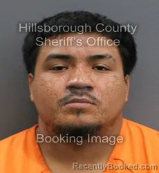 Mugshot of JAIR ESCANDON booked in Hillsborough County, Florida on June 9, 2026