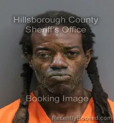 Mugshot of ROBERT LEE JR MASON booked in Hillsborough County, Florida on June 9, 2026