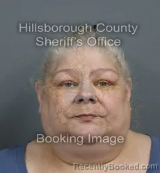 Mugshot of MICHELE LYNN LAWS booked in Hillsborough County, Florida on June 9, 2026