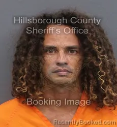 Mugshot of JAIME MENDEZ booked in Hillsborough County, Florida on June 9, 2026