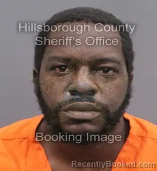 Mugshot of RENALDI C HAYES booked in Hillsborough County, Florida on June 9, 2026