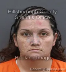 Mugshot of TAMEKA ROSA booked in Hillsborough County, Florida on June 9, 2026