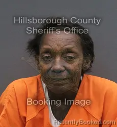 Mugshot of LAVETTE DENICE JOHNSON booked in Hillsborough County, Florida on June 9, 2026