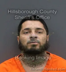 Mugshot of LUIS XAVIER FERREIRA booked in Hillsborough County, Florida on June 9, 2026
