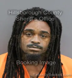 Mugshot of MARK ALEXANDER NEWTON booked in Hillsborough County, Florida on June 9, 2026