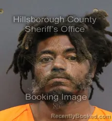 Mugshot of DWAYNE LAMAR HAYES booked in Hillsborough County, Florida on June 9, 2026