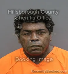 Mugshot of JAMES ANDREW MORELAND