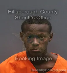 Mugshot of YIRMYAH YHUWDAH ISRAEL booked in Hillsborough County, Florida on June 9, 2026