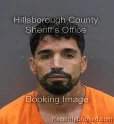 Mugshot of YORDANY LLANES MARTINEZ booked in Hillsborough County, Florida on June 9, 2026