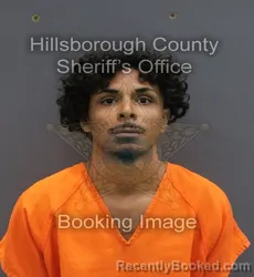 Mugshot of JOHNKF SILVA SIMAO booked in Hillsborough County, Florida on June 9, 2026