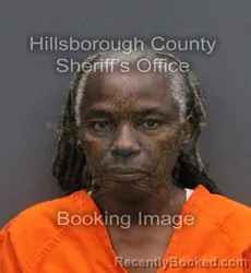 Mugshot of DORCAS JOHNSON booked in Hillsborough County, Florida on June 9, 2026