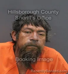 Mugshot of ADAN GOMEZ DELGADO booked in Hillsborough County, Florida on June 9, 2026