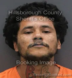 Mugshot of CHRISTOPHER ADAM CASTILLO booked in Hillsborough County, Florida on June 9, 2026