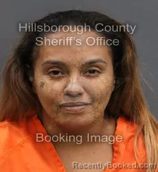 Mugshot of THAYNA PACHECO booked in Hillsborough County, Florida on June 9, 2026