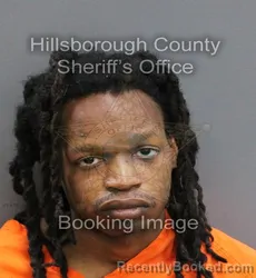 Mugshot of ZION JOSIAH HOBLEY booked in Hillsborough County, Florida on June 10, 2026
