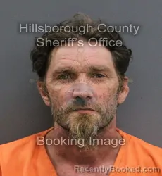 Mugshot of WILLIAM SCOTT TETLOW booked in Hillsborough County, Florida on June 10, 2026