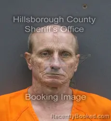 Mugshot of RICHARD DANIEL MCELVEEN booked in Hillsborough County, Florida on June 10, 2026