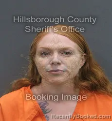 Mugshot of NICOLE ANN BARNES booked in Hillsborough County, Florida on June 10, 2026