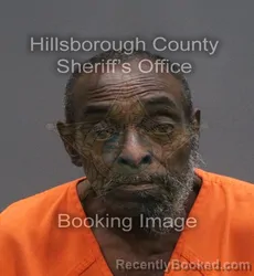 Mugshot of MANSFIELD JR BROWN booked in Hillsborough County, Florida on June 10, 2026