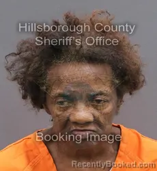 Mugshot of SANDRA MCDANIELS HICKS