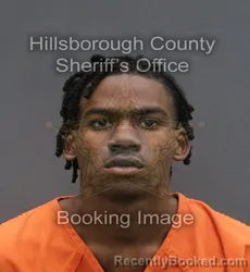 Mugshot of ANTONIO LEVONCE HOLMES booked in Hillsborough County, Florida on June 10, 2026