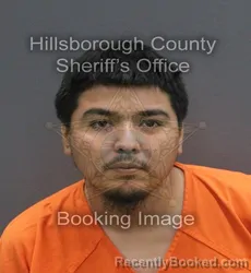 Mugshot of JESSIE MORALES booked in Hillsborough County, Florida on June 10, 2026
