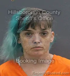 Mugshot of AMY JO HORTON booked in Hillsborough County, Florida on June 10, 2026