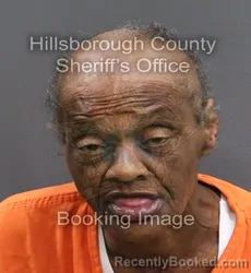 Mugshot of MARY LOUISE DOE booked in Hillsborough County, Florida on June 10, 2026