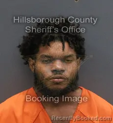 Mugshot of LAZARO ORTEGA ARDILES booked in Hillsborough County, Florida on June 10, 2026
