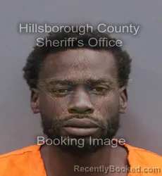 Mugshot of ALEXANDER NEIL WASHINGTON booked in Hillsborough County, Florida on June 10, 2026