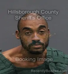 Mugshot of DONNAVAN BRAUN booked in Hillsborough County, Florida on June 10, 2026