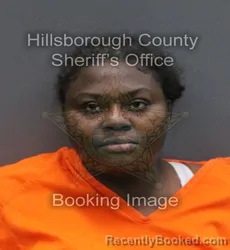 Mugshot of SANDRA CESAR booked in Hillsborough County, Florida on June 10, 2026