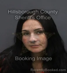 Mugshot of ALEXA NICOLE SALYER booked in Hillsborough County, Florida on June 10, 2026