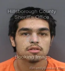 Mugshot of DEVON LUIS MARTINEZ booked in Hillsborough County, Florida on June 10, 2026