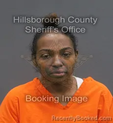 Mugshot of MELSHA DARLENE GREENE booked in Hillsborough County, Florida on June 10, 2026