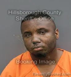 Mugshot of JAMES HASKELL V STEPHENS