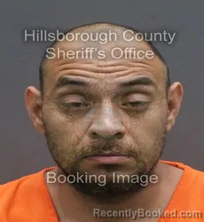 Mugshot of DANIEL RAY DELEON booked in Hillsborough County, Florida on June 10, 2026