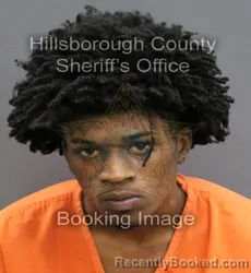 Mugshot of CHAUNCEY YASHIR JR WELCH booked in Hillsborough County, Florida on June 10, 2026