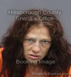 Mugshot of ELIZABETH SUMNER BARFIELD booked in Hillsborough County, Florida on June 10, 2026