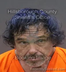 Mugshot of MICHAEL EDWARD TAYLOR booked in Hillsborough County, Florida on June 10, 2026