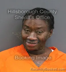 Mugshot of NATASHA REID PRICE booked in Hillsborough County, Florida on June 10, 2026