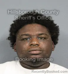Mugshot of KAMERON KHALID PALMER booked in Hillsborough County, Florida on June 10, 2026