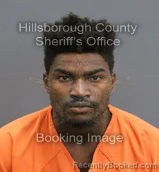 Mugshot of MALIQUE CALIB WILSON booked in Hillsborough County, Florida on June 10, 2026