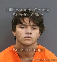 Mugshot of MASON DREW RITENAUER booked in Hillsborough County, Florida on June 10, 2026