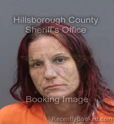 Mugshot of BRANDY LANE JAY booked in Hillsborough County, Florida on June 10, 2026