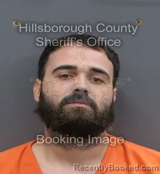 Mugshot of ARIEL ALAIN AYES booked in Hillsborough County, Florida on June 10, 2026