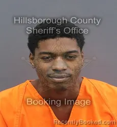 Mugshot of CLARENCE EARL JR LILLIE booked in Hillsborough County, Florida on June 10, 2026