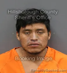 Mugshot of SANTOS DOMINGO GODINEZ